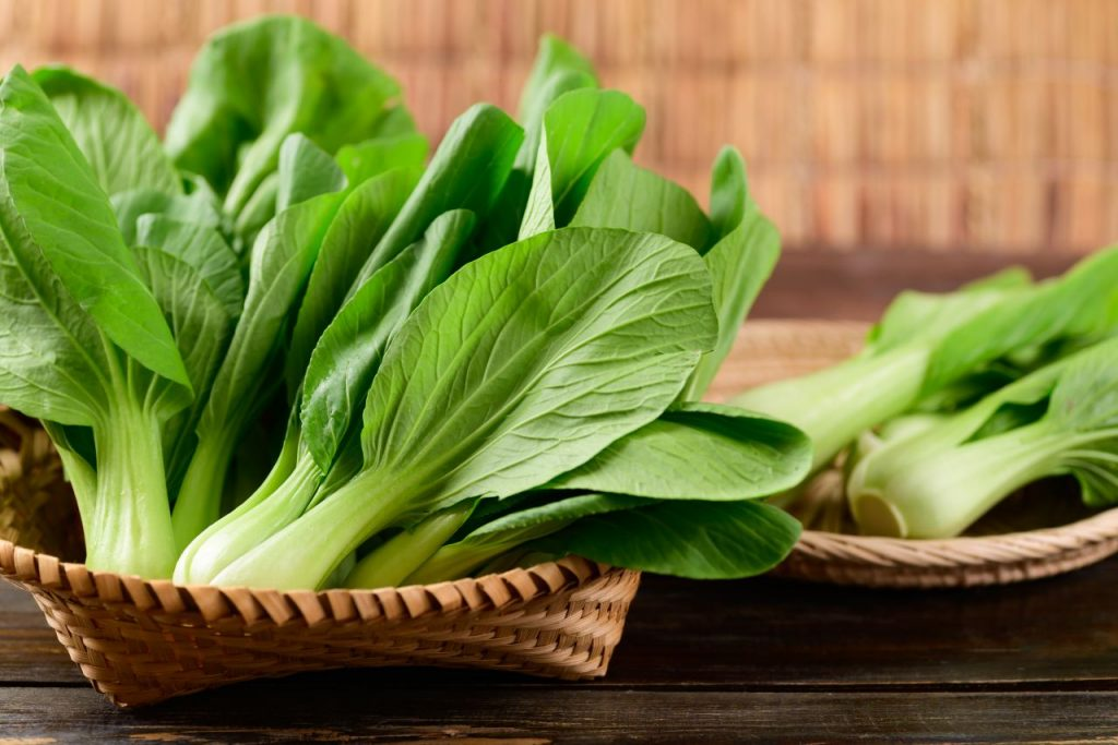 sayur pakcoy