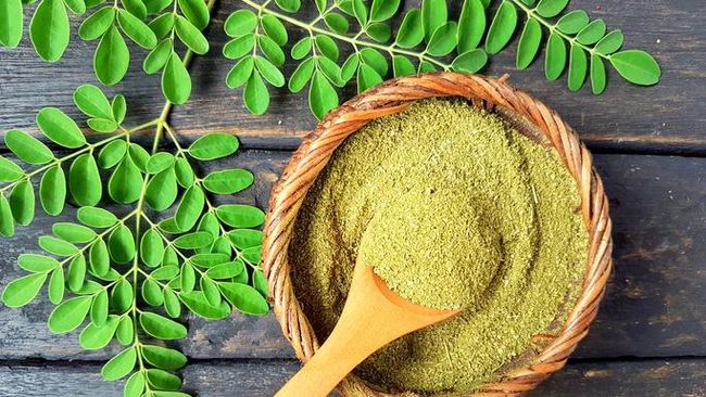 manfaat daun kelor